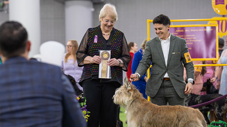 A judge holding a ribbon stands with a handler and their dog at the Westminster Dog Show in New York's Javits Center.