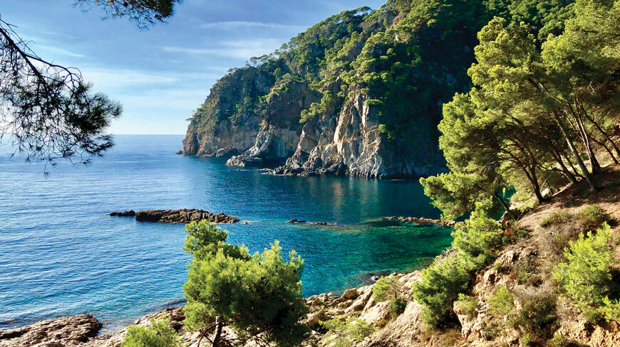 A hidden cove with crystal-clear turquoise water and lush green pine trees on rocky cliffs along the Costa Brava in Catalonia, Spain.