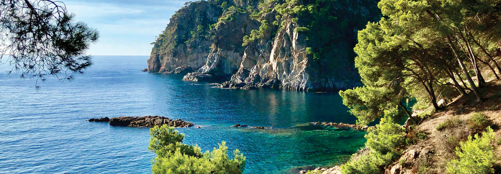 A hidden cove with crystal-clear turquoise water and lush green pine trees on rocky cliffs along the Costa Brava in Catalonia, Spain.
