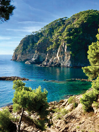 A hidden cove with crystal-clear turquoise water and lush green pine trees on rocky cliffs along the Costa Brava in Catalonia, Spain.