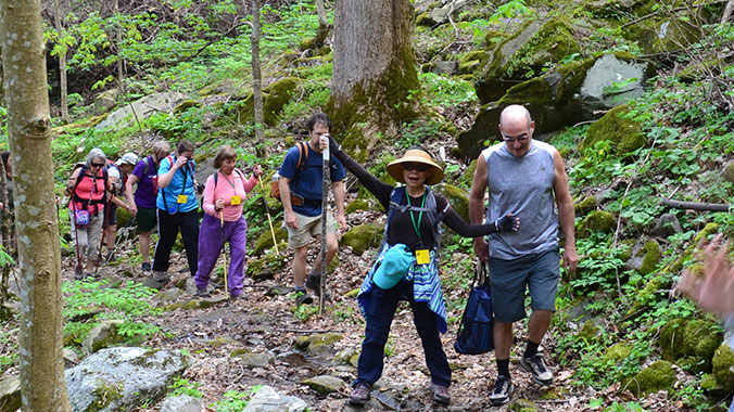 Hiking Southwest Virginia