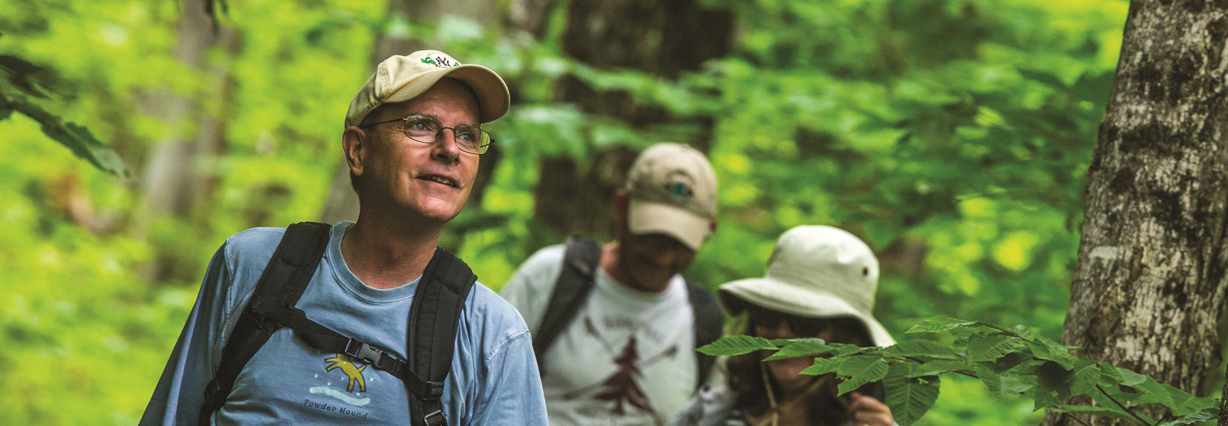 A man in a baseball cap and two other hikers walk through a lush green forest in the Adirondacks of New York.