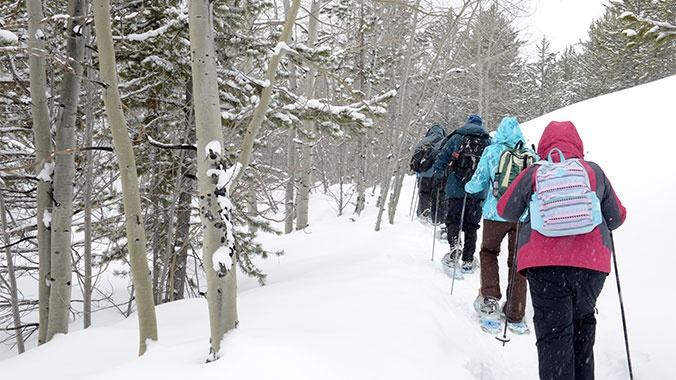 Cross Country Skiing in the Adirondacks
