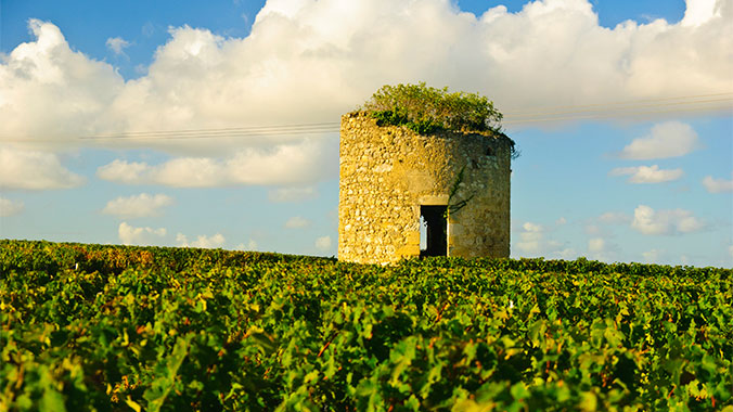 Living and Learning Bordeaux