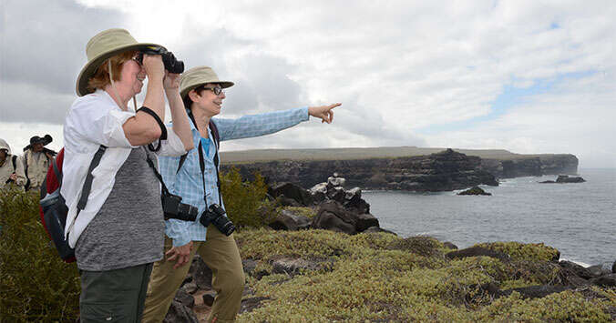 Galapagos at a slower pace