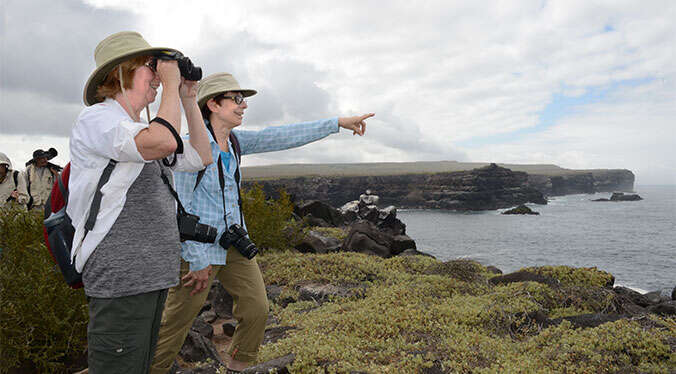 Galapagos at a slower pace