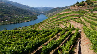 Discoveries Along the Douro: Portugal’s Best-Kept Secrets