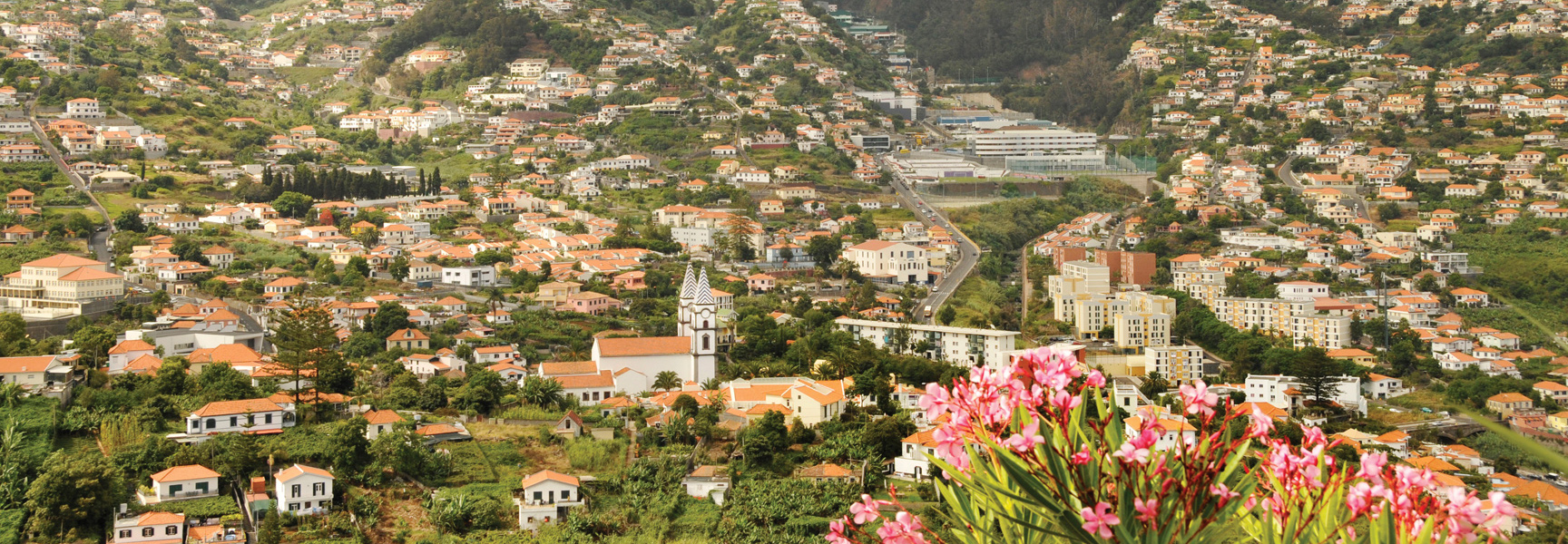 A wide view of the lush, green hills of Madeira, Portugal, covered in white buildings with red roofs, with pink flowers in the foreground.