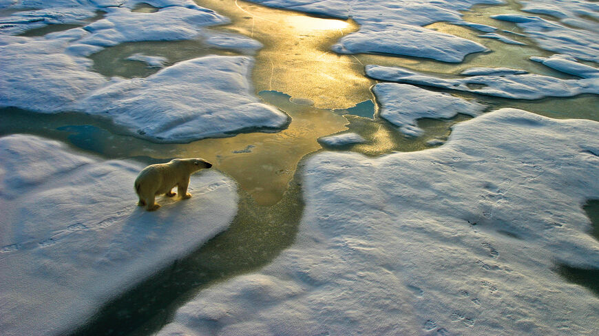 An aerial view of a polar bear walking across snow-covered ice floes in the Arctic Circle during sunset.