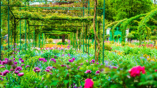 24422-FR-Claude-Monet-Garden-smhoz.jpg