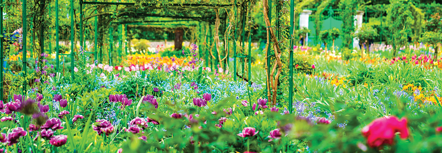 A vibrant flower garden in France with colorful tulips and other blossoms under a green trellis.