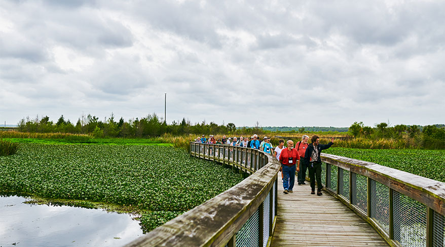 Hike, Bike, Kayak florida everglades