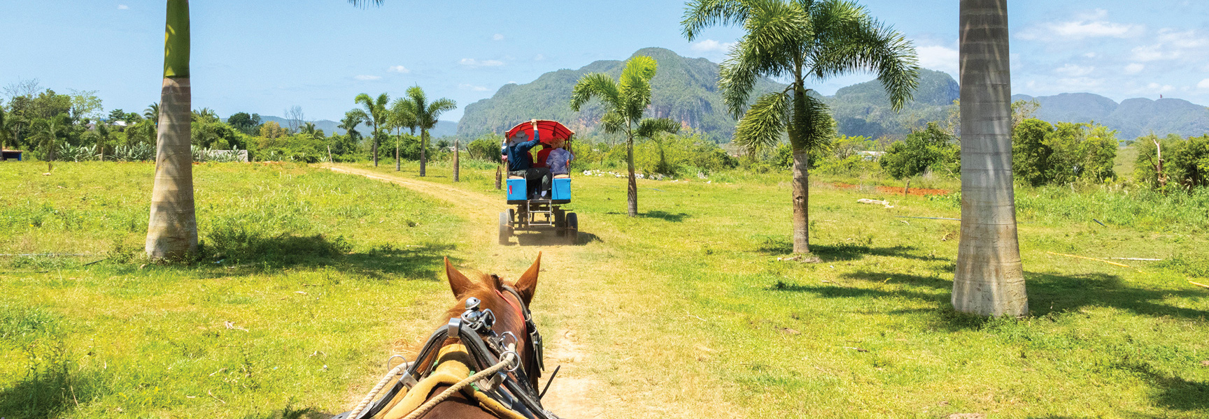 A view from a horse-drawn carriage following another carriage on a dirt path through a grassy, palm-tree-lined field in Cuba.