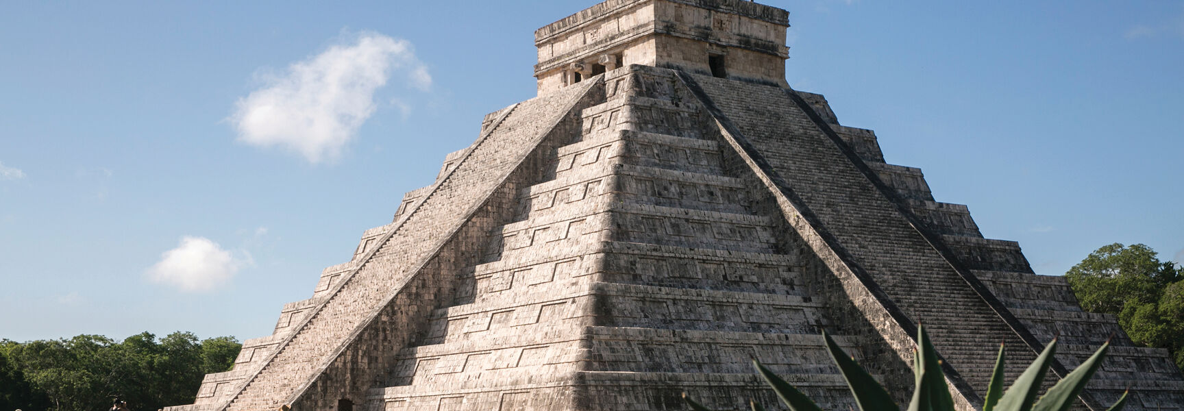 A towering stone Mayan pyramid at an archaeological site in Mexico's Yucatan Peninsula stands behind green agave plants under a clear blue sky.