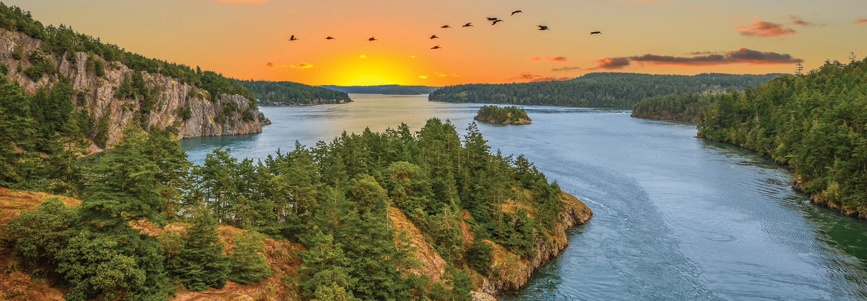 A flock of birds flies over a wide river in Washington at sunset, surrounded by evergreen-covered cliffs and hills.