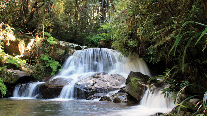 A cascading waterfall flows over rocks surrounded by the lush, green flora of a biodiverse tropical forest landscape in Madagascar.