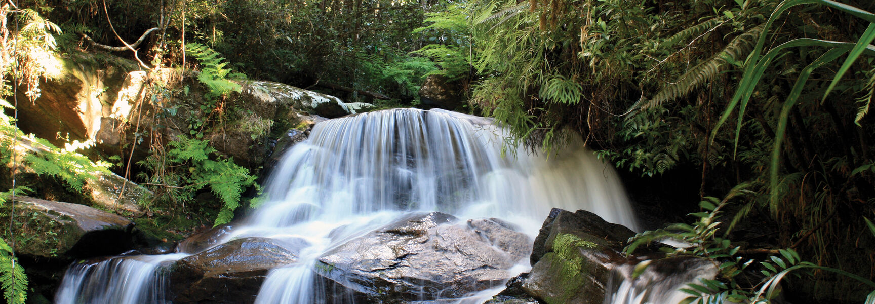 A cascading waterfall flows over rocks surrounded by the lush, green flora of a biodiverse tropical forest landscape in Madagascar.