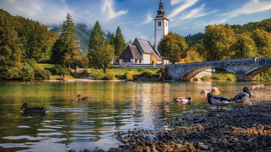 Ducks swim in a lake near a stone bridge and historic church in a village within the Julian Alps of Slovenia.