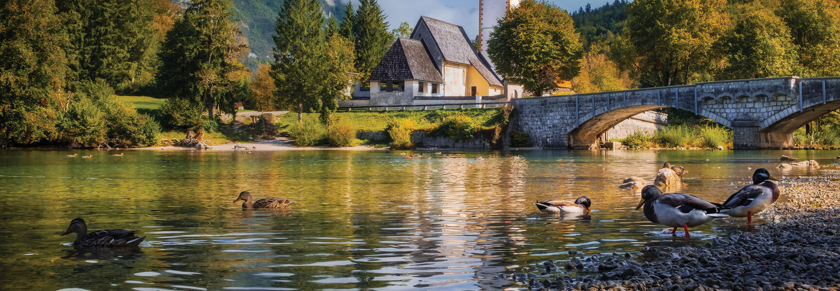 Ducks swim in a lake near a stone bridge and historic church in a village within the Julian Alps of Slovenia.