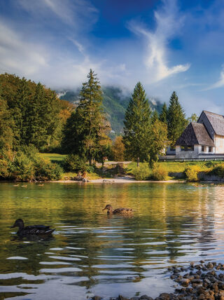 Ducks swim in a lake near a stone bridge and historic church in a village within the Julian Alps of Slovenia.