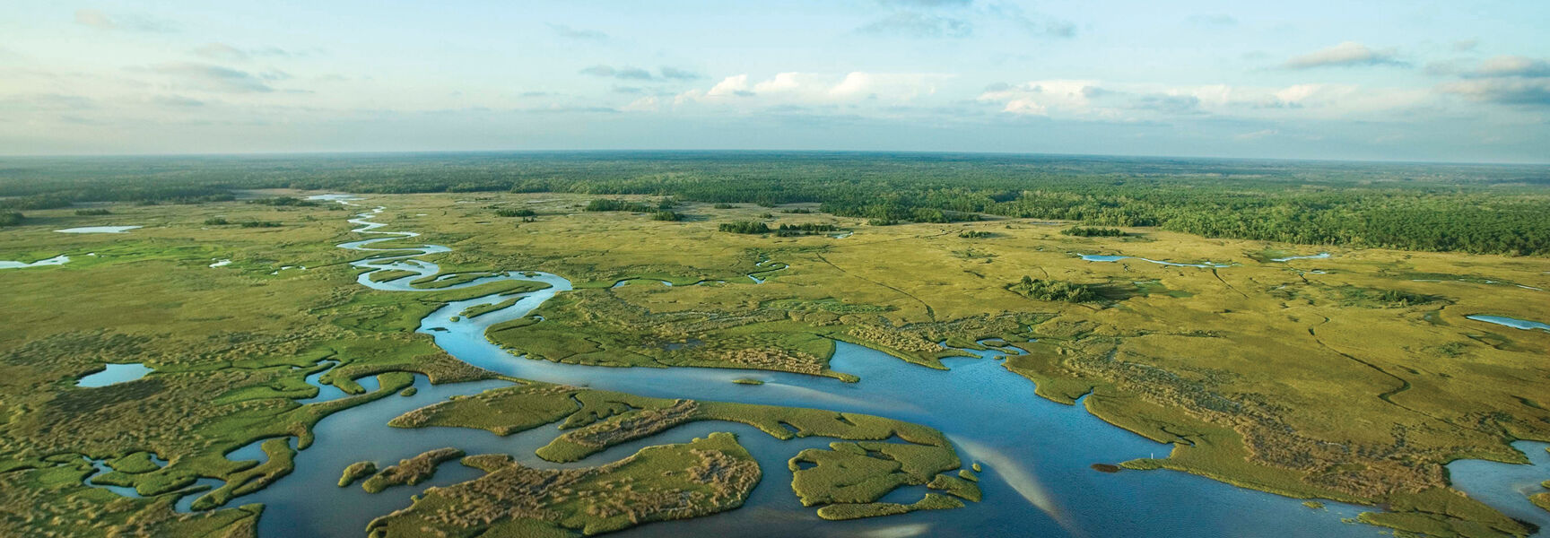 Aerial view of a winding waterway flowing through the vast green wetlands of the Florida Everglades.