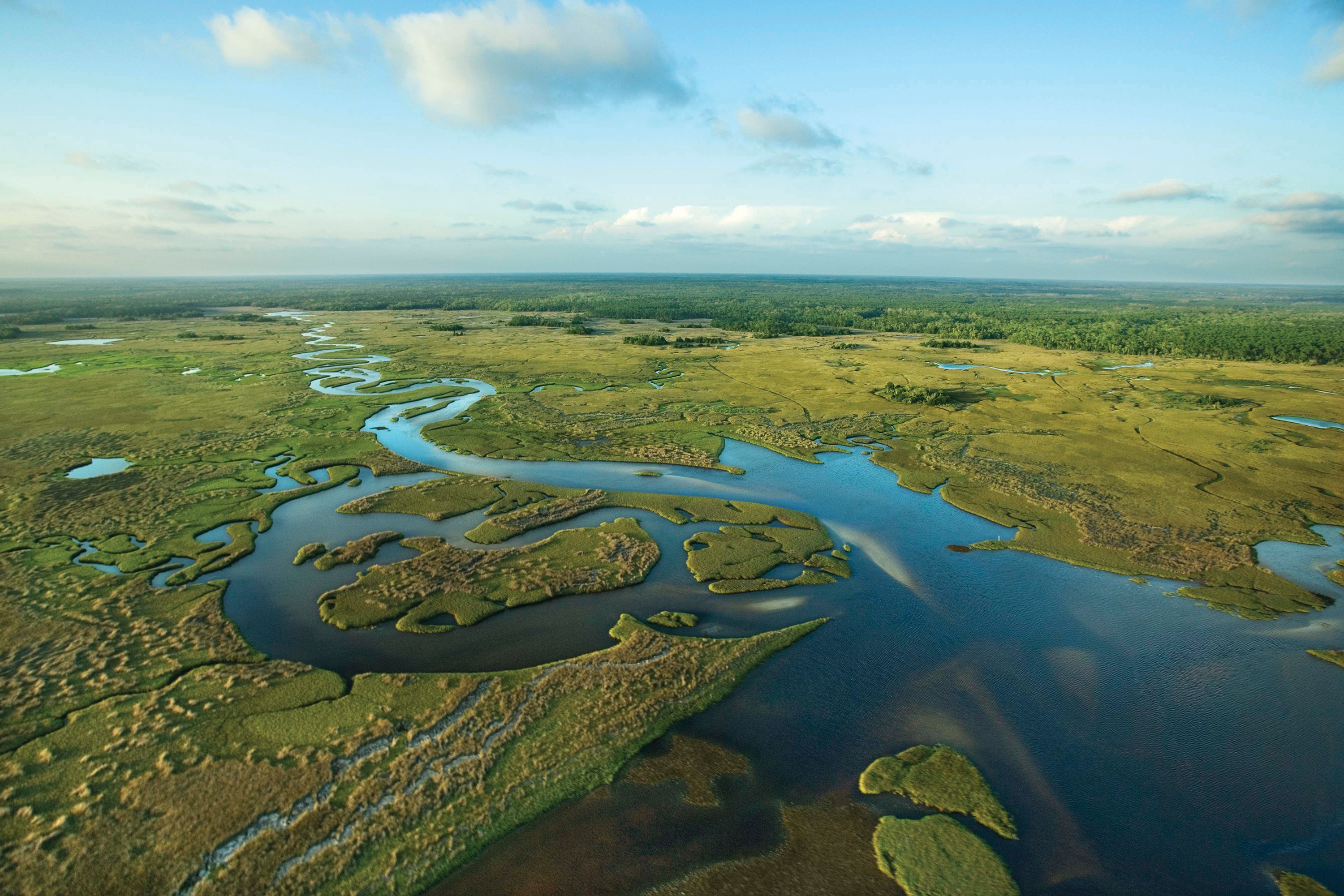 Aerial view of a winding waterway flowing through the vast green wetlands of the Florida Everglades.