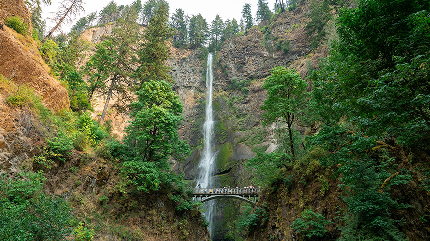 Multnomah Falls in Oregon cascades down a tall rocky cliff, surrounded by lush green forest with a stone footbridge spanning the gorge.