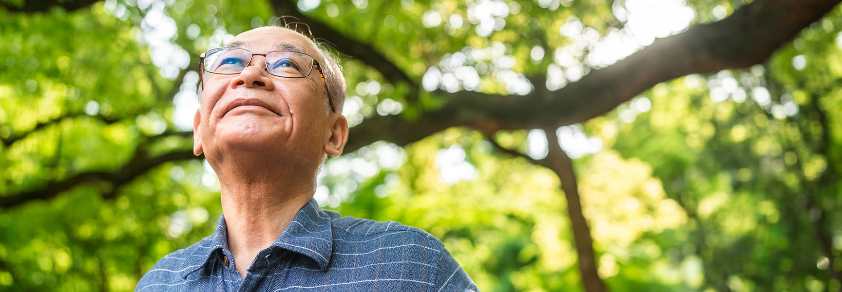 An older Asian man wearing glasses looks up thoughtfully with a soft smile, with a leafy green tree canopy in the background.