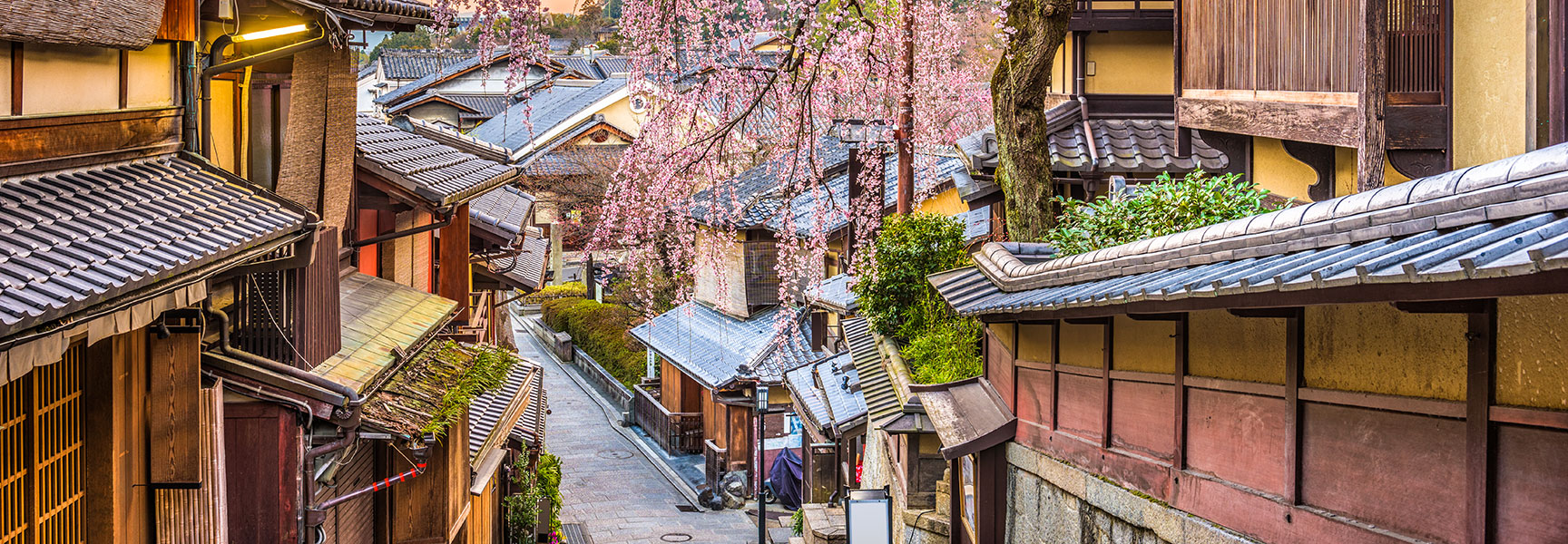 A narrow street in the historic Higashiyama District of Kyoto, lined with traditional Japanese houses and blooming cherry blossoms.