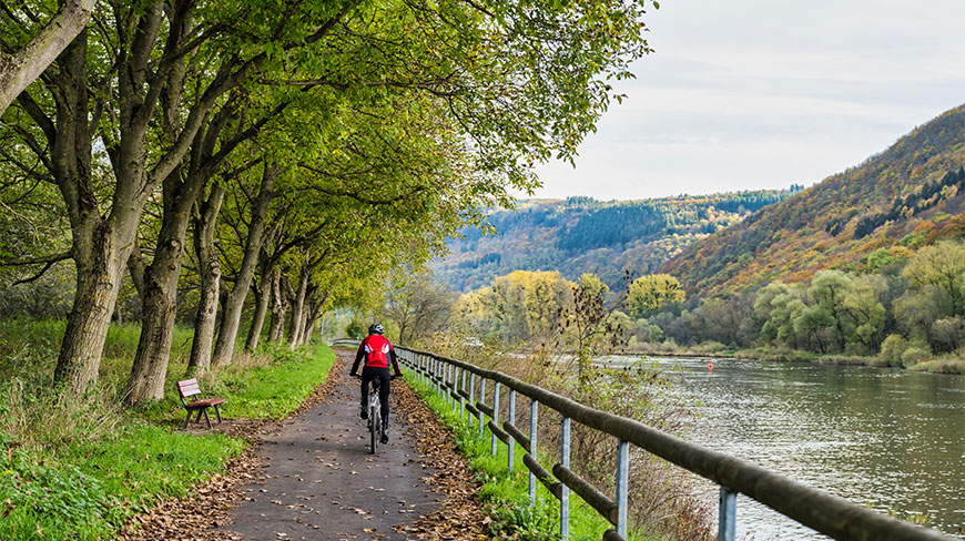 A cyclist rides along a tree-lined path next to the Moselle river in Cochem-Zell, Germany, with forested hills in the background.