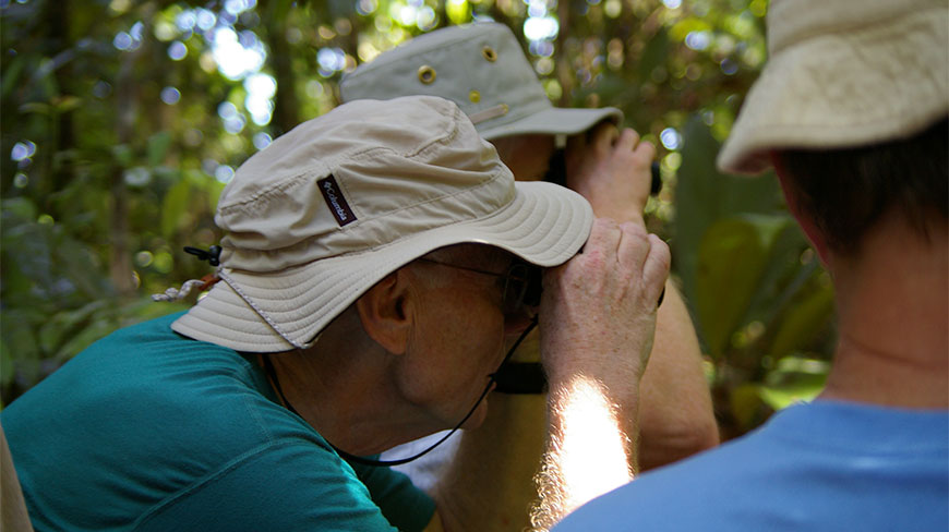 A group of people wearing sun hats use binoculars for birding in a lush New Zealand forest.