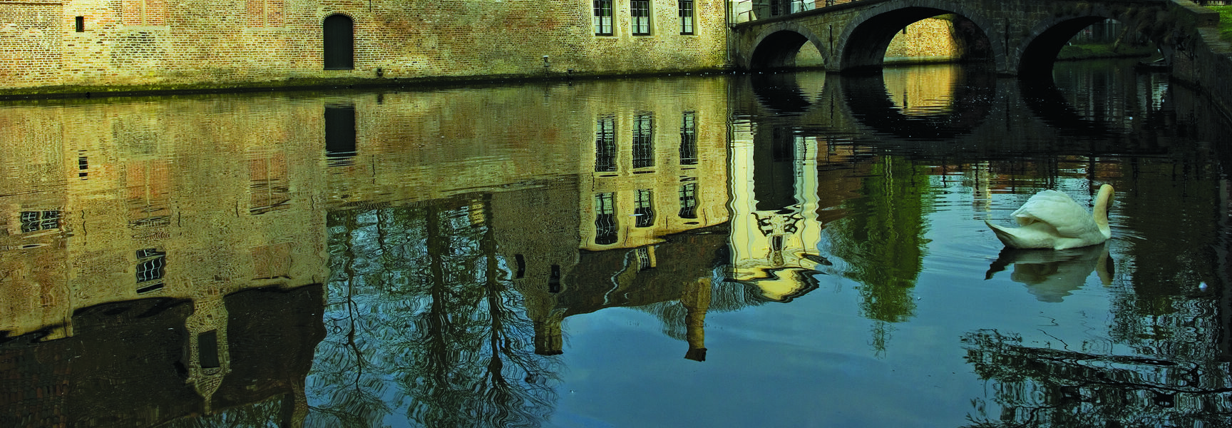 A white swan swims in a quiet Belgian canal reflecting historic brick architecture and an arched stone bridge during an art history excursion.