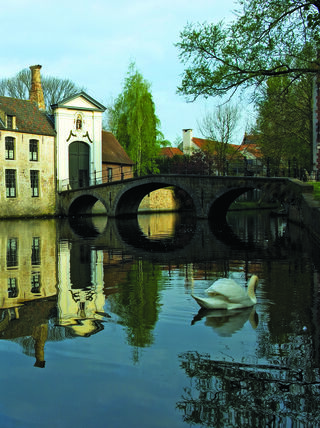 A white swan swims in a quiet Belgian canal reflecting historic brick architecture and an arched stone bridge during an art history excursion.