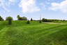 36 - AUR 72 backyard.jpeg