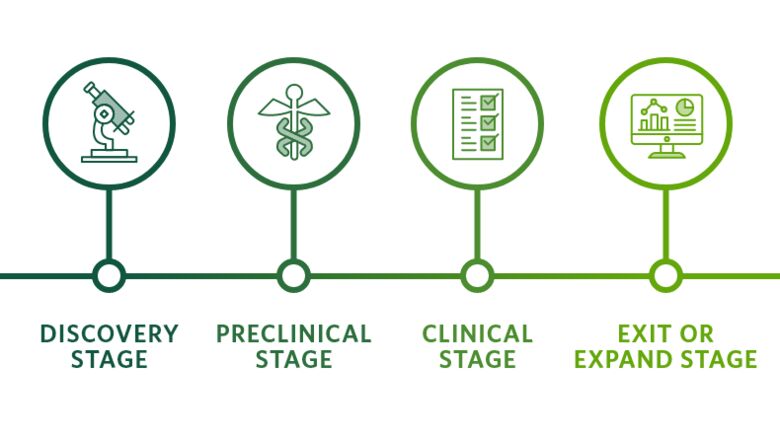 The 4 stages of a Life Sciences Startup graphic