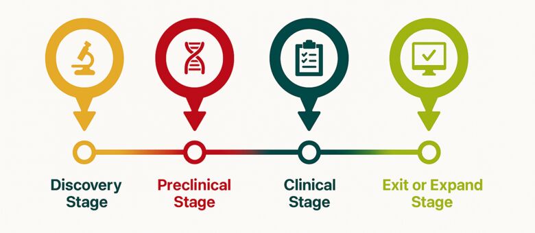 The 4 stages of a Life Sciences Startup graphic