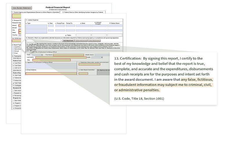 Line 13 Federal Financial Form SF 425