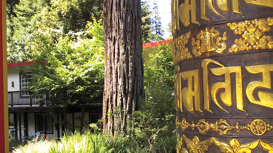 A large, ornate Buddhist prayer wheel stands next to a redwood tree in a lush, green California setting.