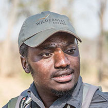 Profile Image of Honest Siyawareva