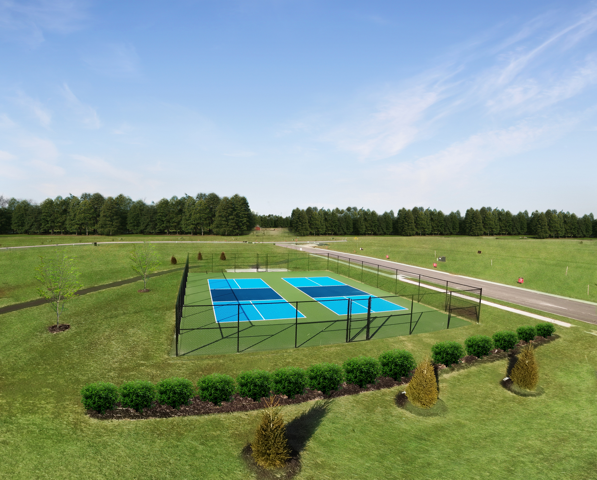 Community Pickleball Courts