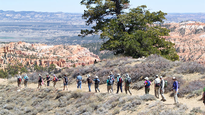National Parks With Your Grandchild: Zion, Bryce & Grand Canyon
