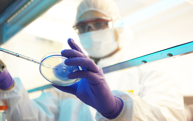 A researcher puts liquid on a petri dish.