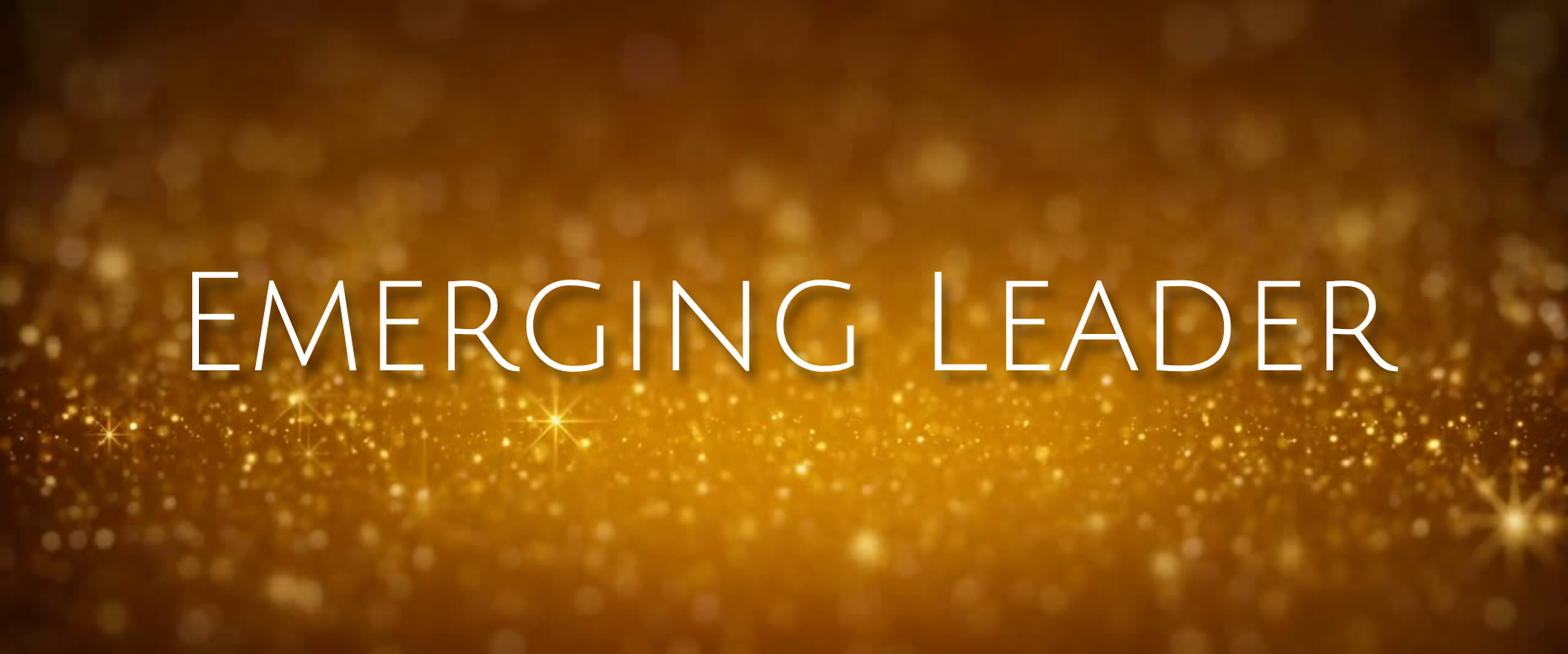 AVA Awards webpage banner 2026