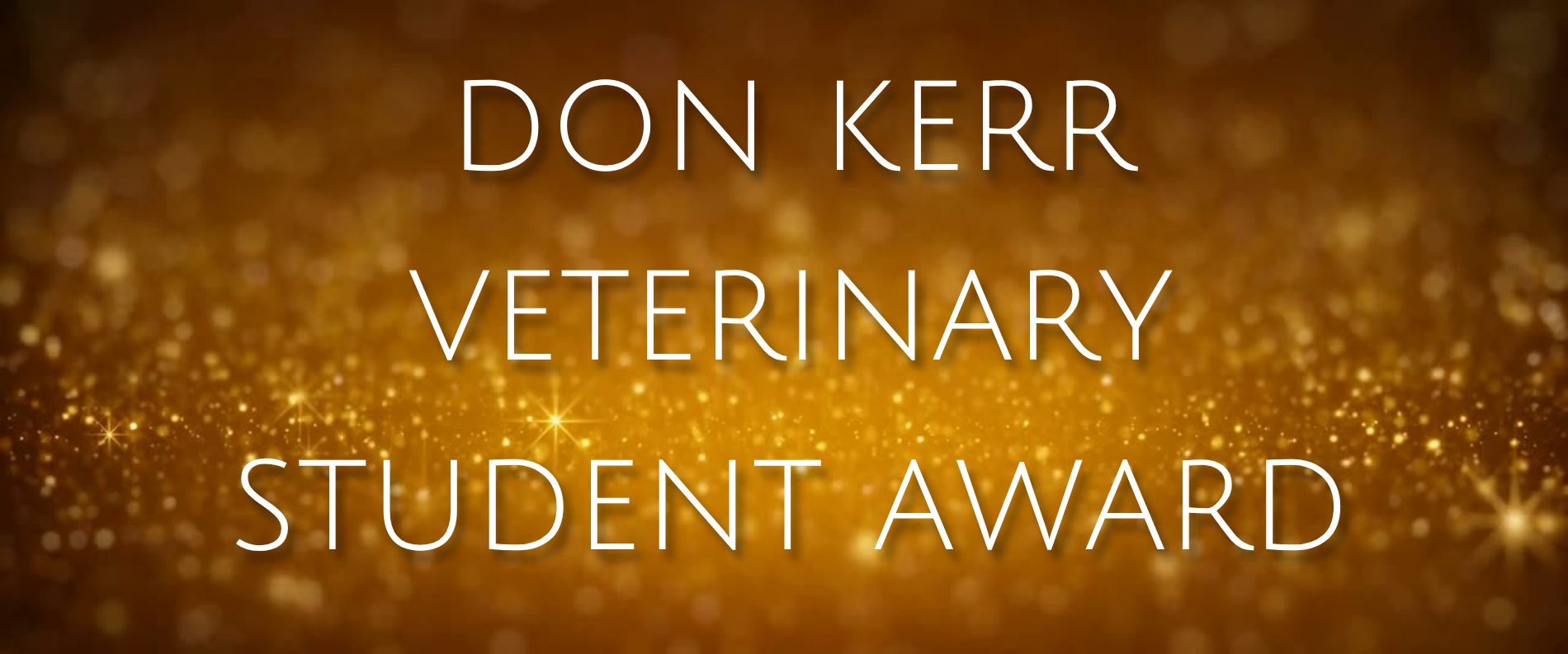 AVA Awards webpage banner 2026