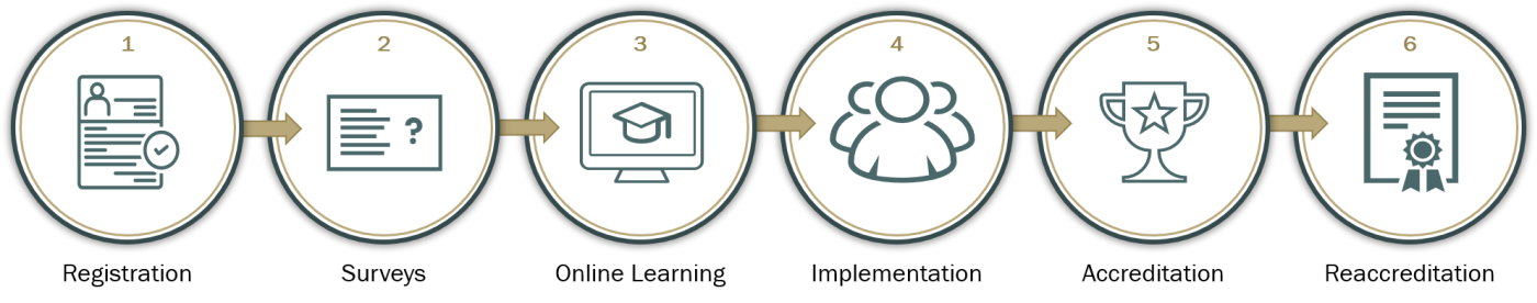 AVA EOC - Accreditation Cycle_v3.png