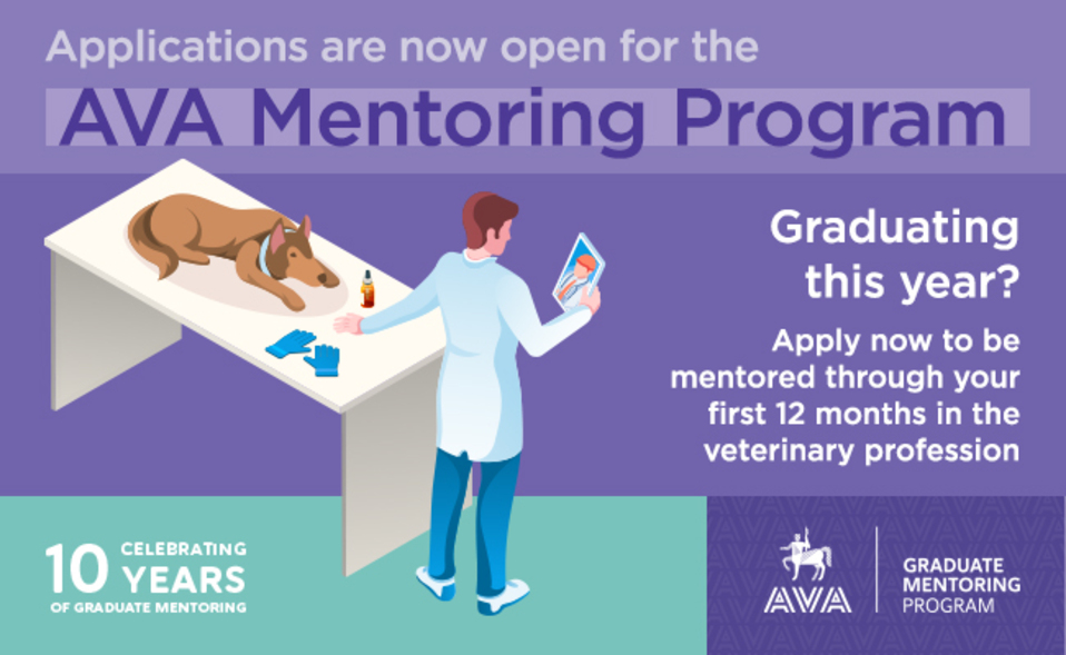 AVA_GraduateMentoring_2025_650x400.jpg AVA_GraduateMentoring_2025_650x400.jpg