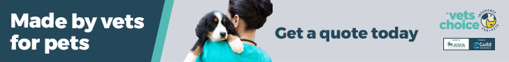 AVA_Vet Voice_Consumer_Ad_August_copy-deck_20240703_approved.png AVA_Vet Voice_Consumer_Ad_August_copy-deck_20240703_approved.png