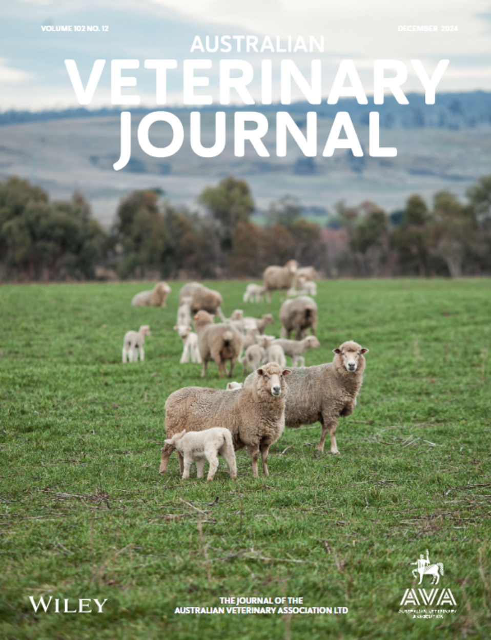 AVJ Dec 2024 Cover image (1).png