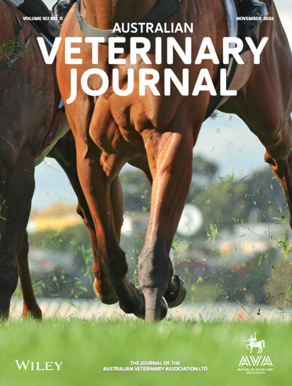 AVJ Nov 2024 Cover Image.png