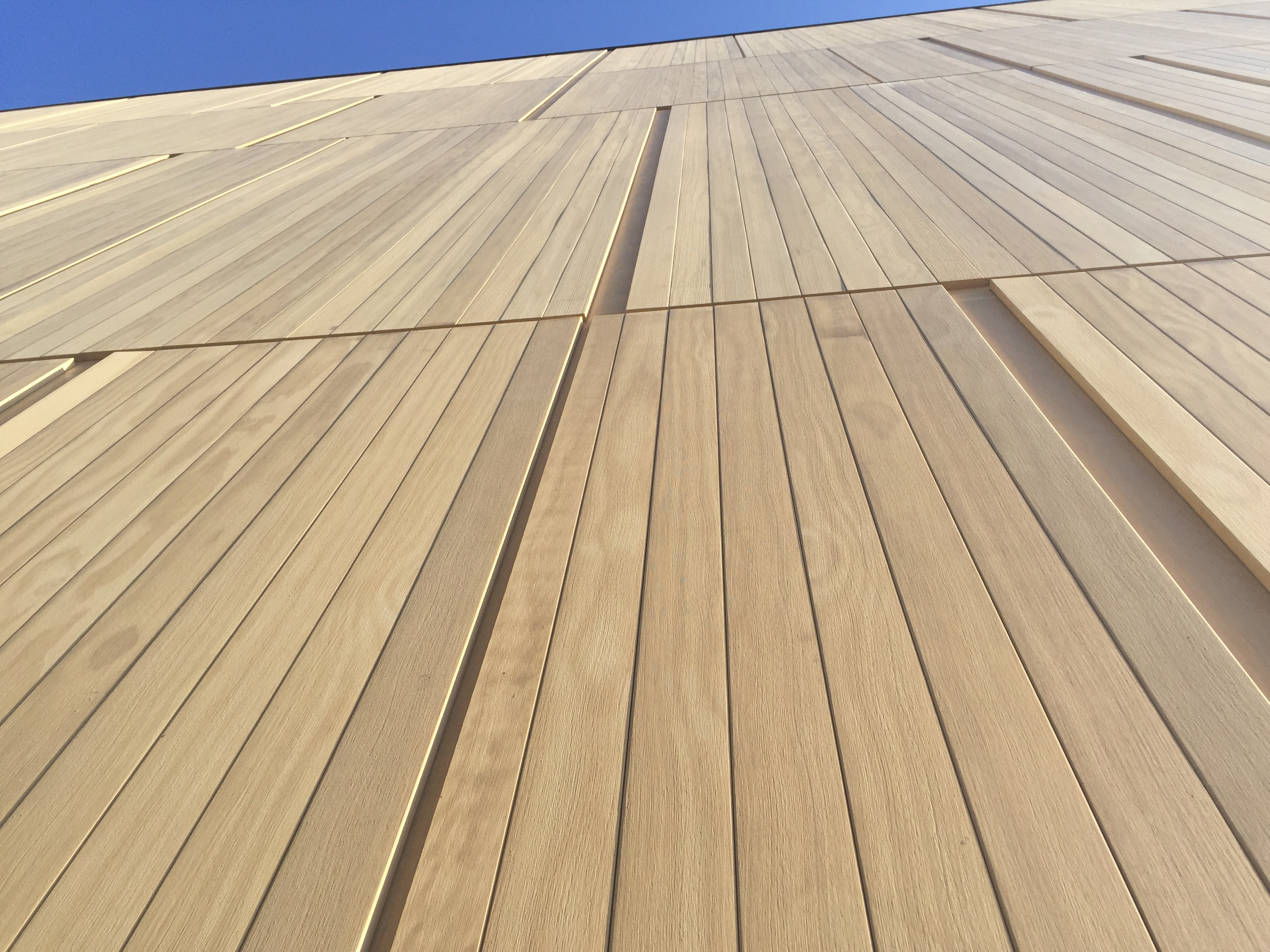 Accoya Natural Cladding